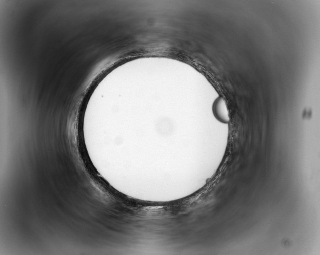 X0000103910054200810101317