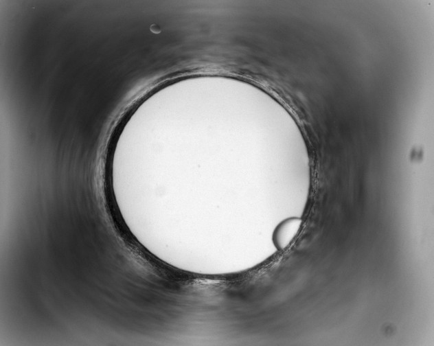 X0000103910055200810101317