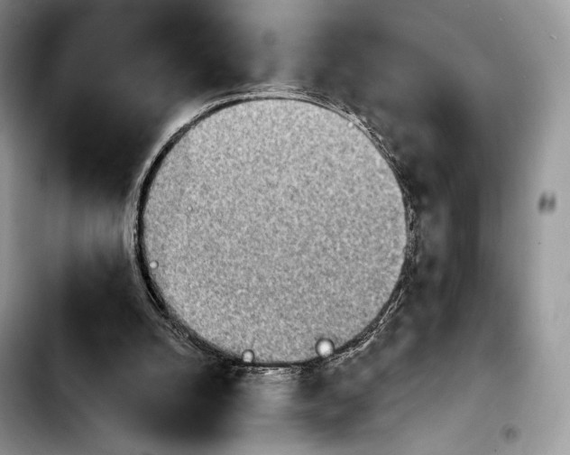 X0000103910056200810101317