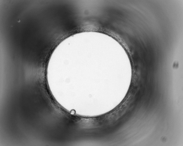 X0000103910057200810101317