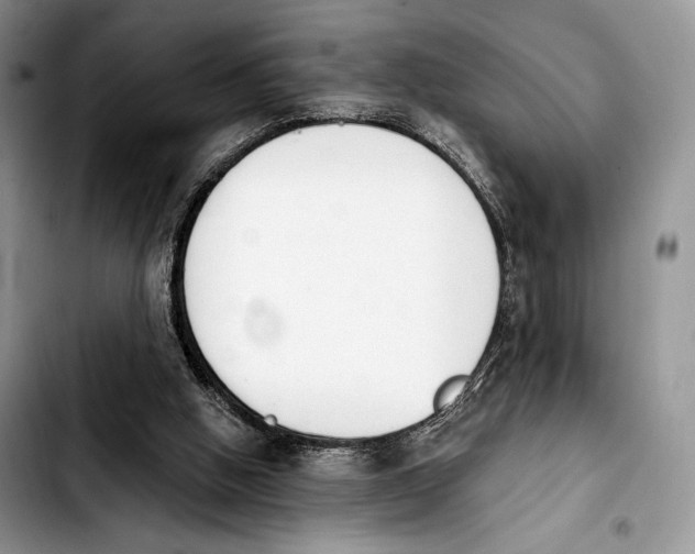 X0000103910058200810101317