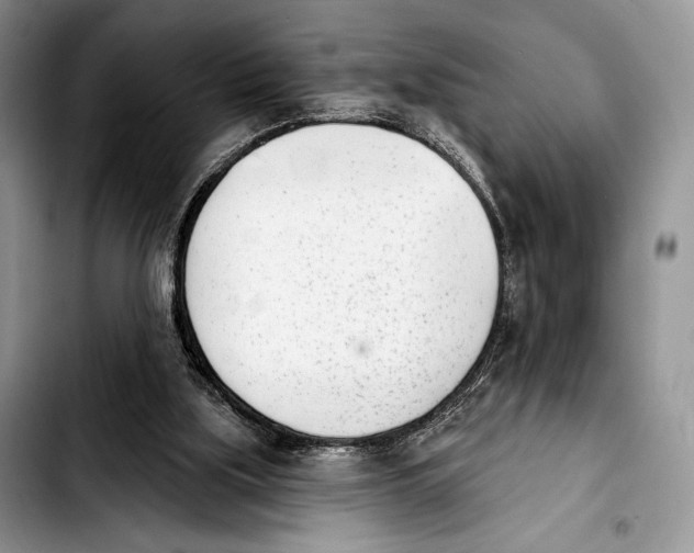 X0000103910059200810101317