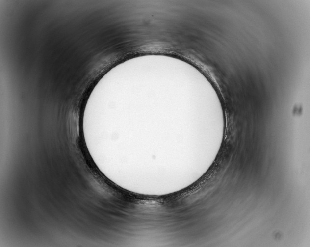 X0000103910061200810101317
