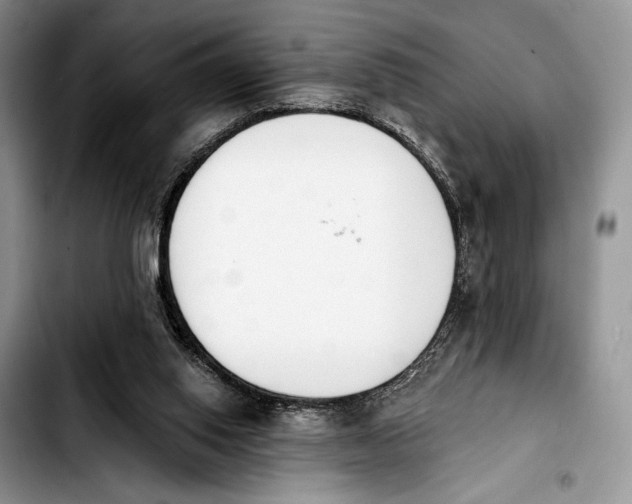 X0000103910062200810101317