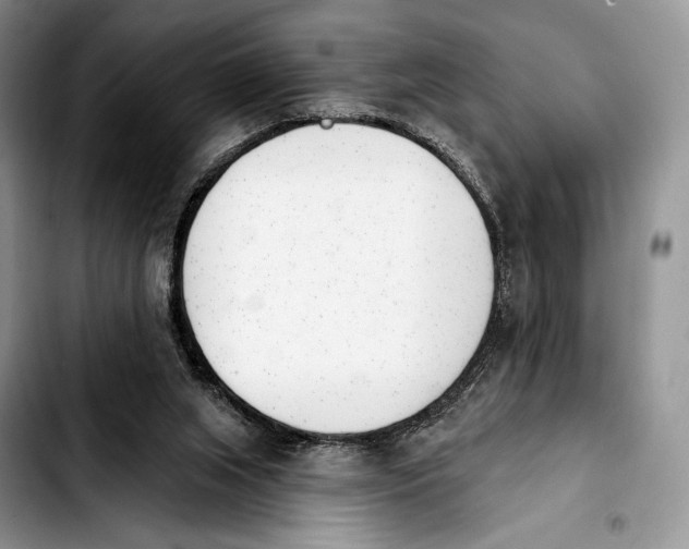 X0000103910063200810101317