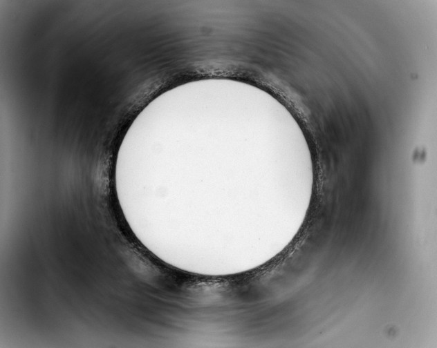 X0000103910065200810101317