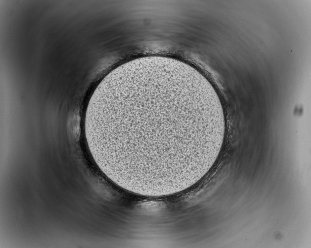 X0000103910067200810101317
