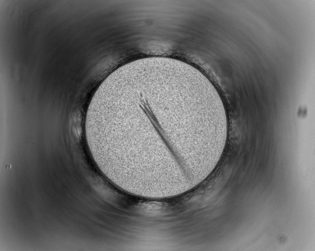 X0000103910069200810101317