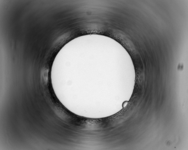 X0000103910070200810101317
