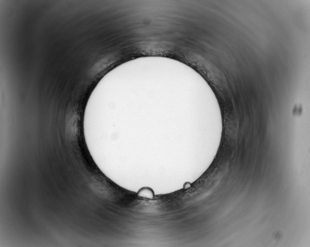 X0000103910071200810101317