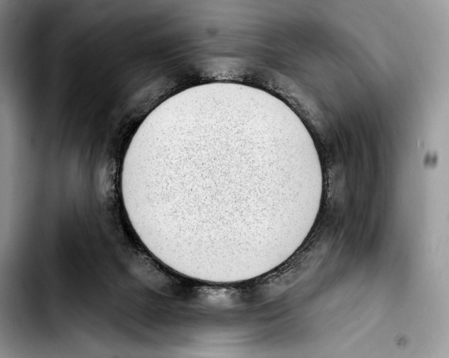 X0000103910073200810101317