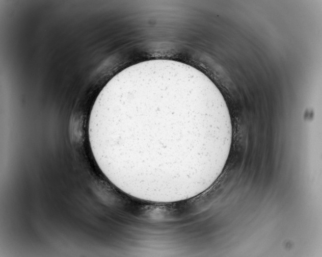 X0000103910074200810101317