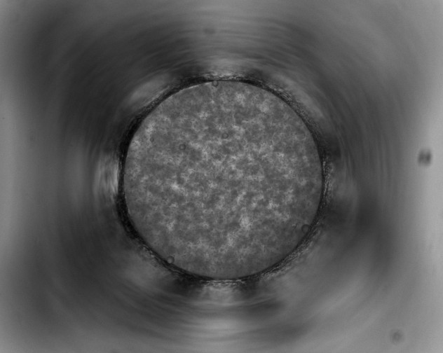 X0000103910076200810101317