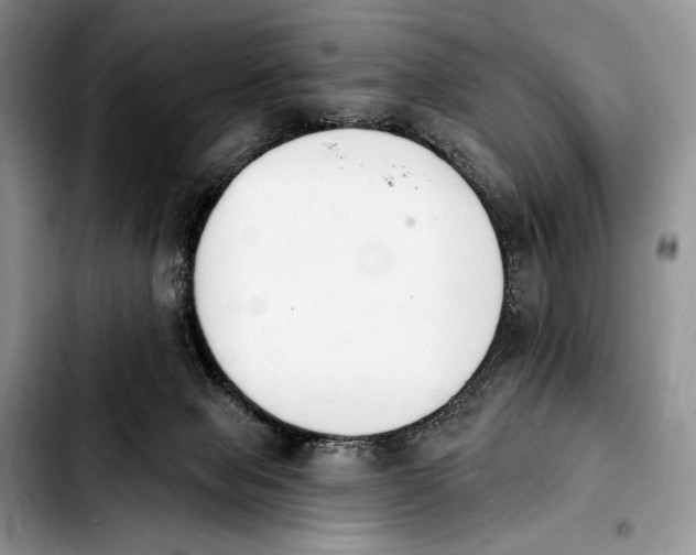 X0000103910077200810101317