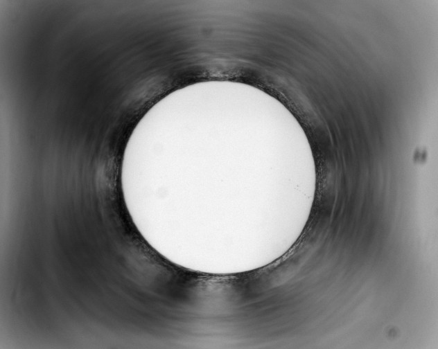 X0000103910078200810101317