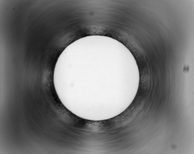 X0000103910079200810101317