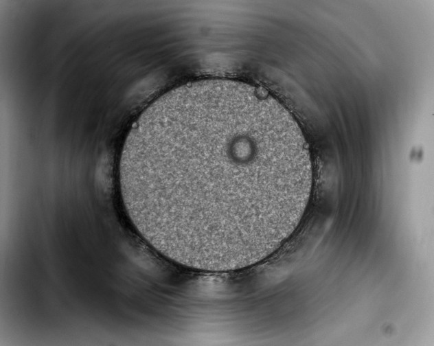X0000103910080200810101317