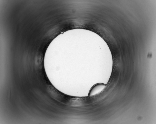 X0000103910082200810101317