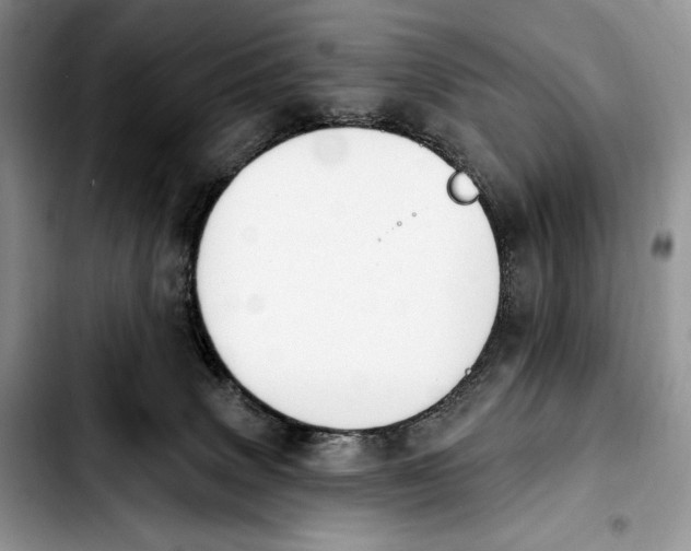 X0000103910083200810101317