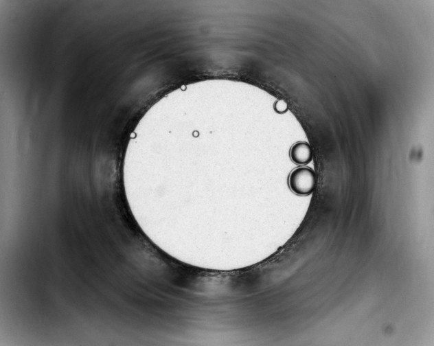 X0000103910084200810101317