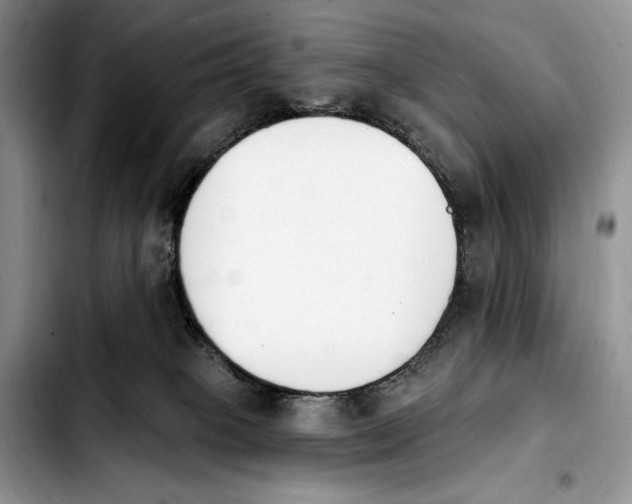 X0000103910085200810101317