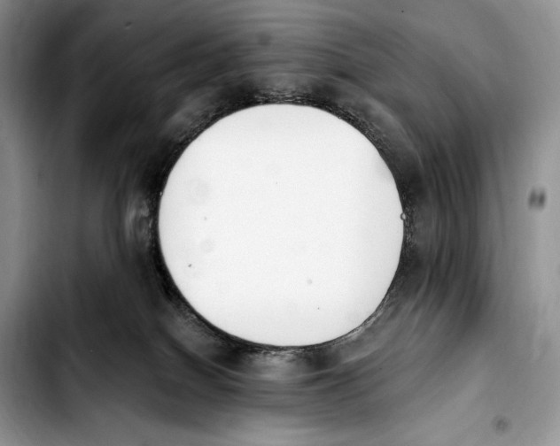 X0000103910086200810101317