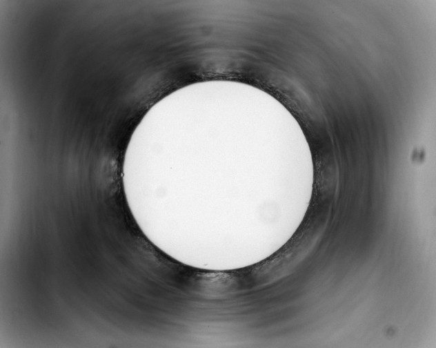 X0000103910087200810101317