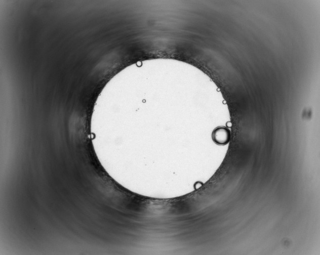 X0000103910088200810101317