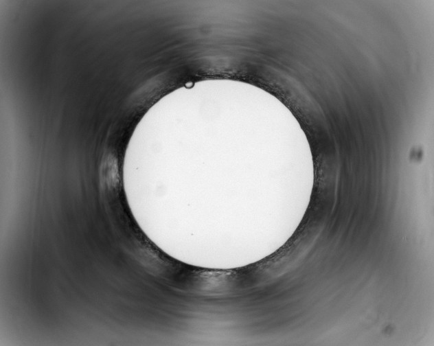 X0000103910089200810101317