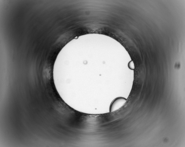X0000103910090200810101317