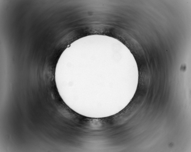 X0000103910091200810101317