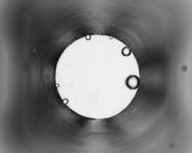 X0000103910092200810101317