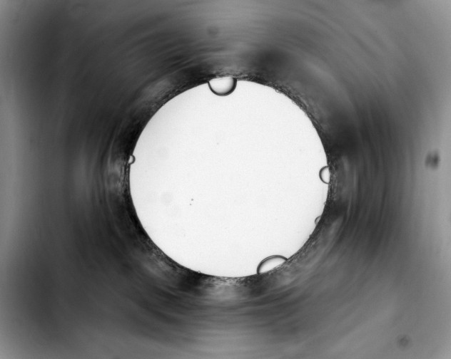 X0000103910093200810101317