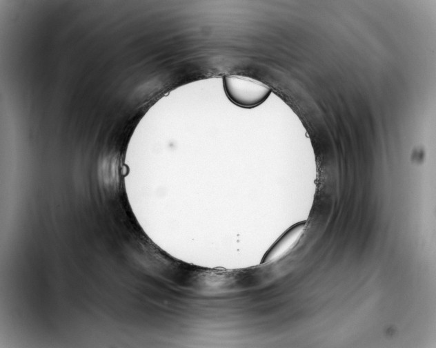 X0000103910094200810101317