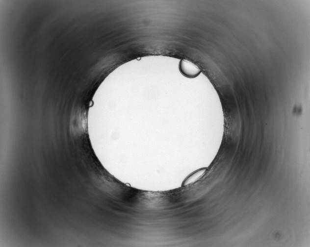 X0000103910095200810101317