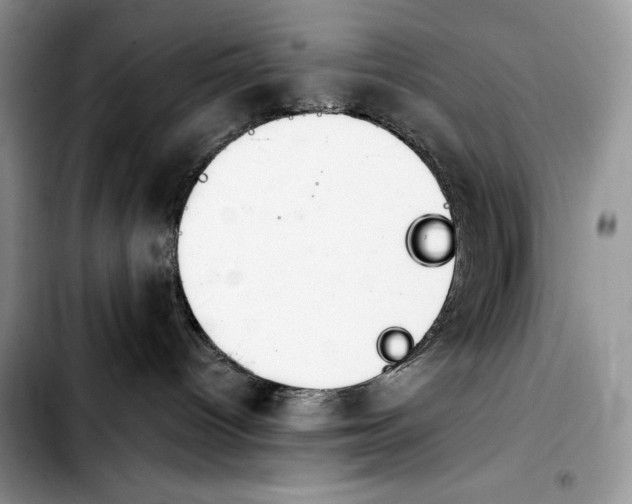 X0000103910096200810101317