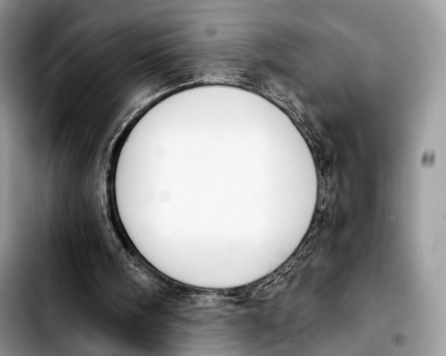 X0000103910098200810101316