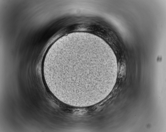 X0000103910099200810101316