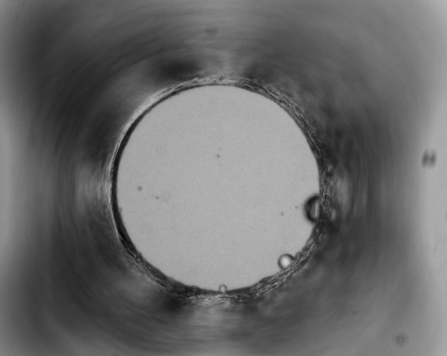 X0000103910100200810101316