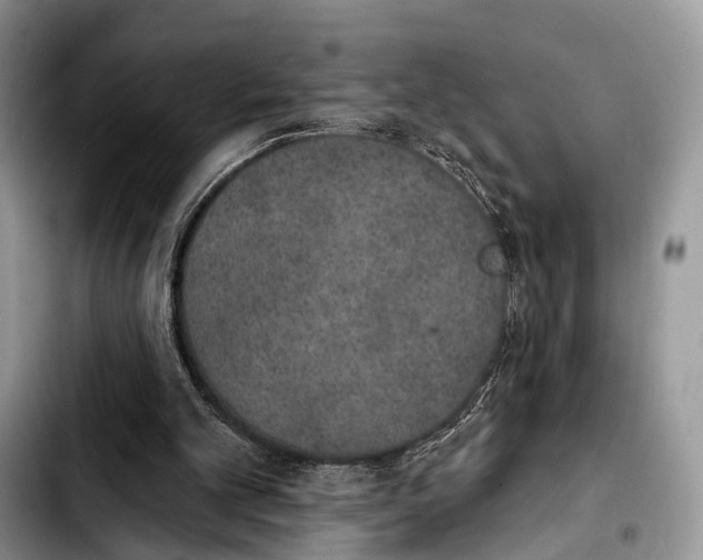 X0000103910101200810101316