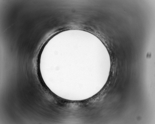 X0000103910103200810101316