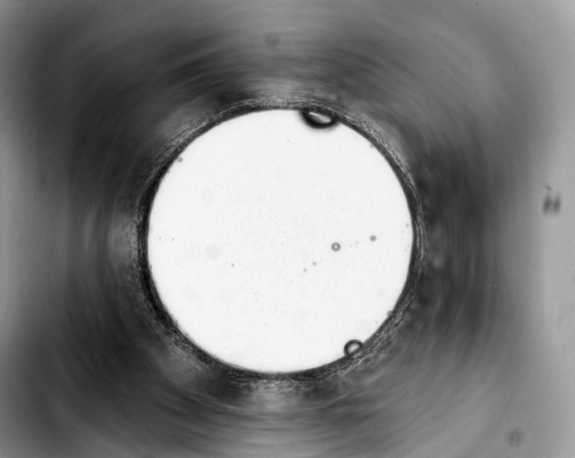 X0000103910105200810101316
