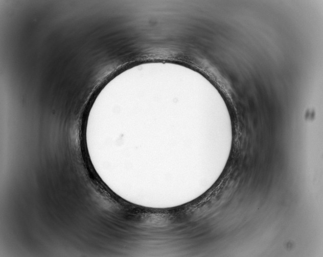 X0000103910107200810101316