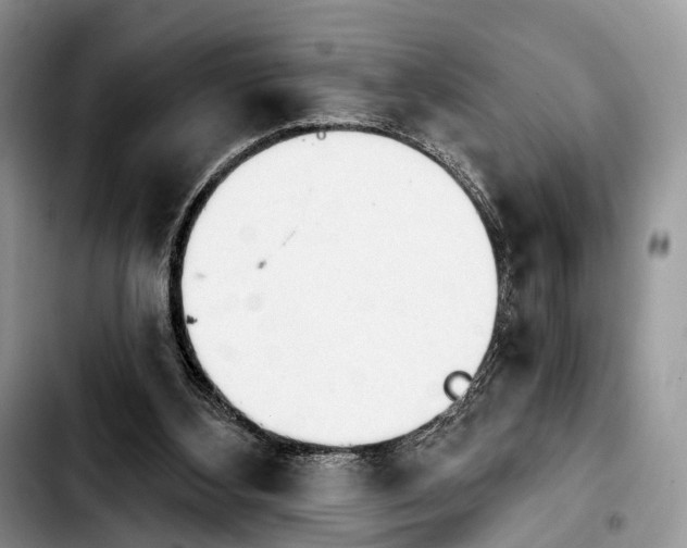 X0000103910108200810101316
