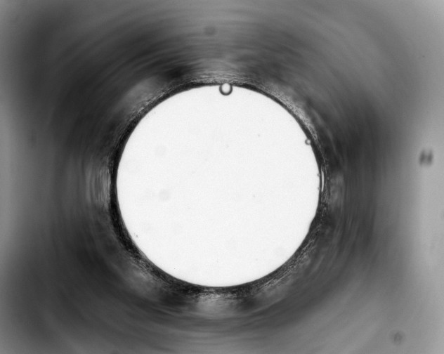 X0000103910109200810101316