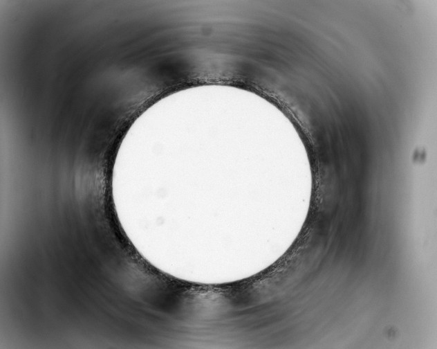 X0000103910113200810101316