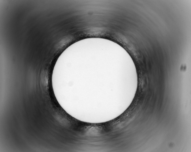 X0000103910115200810101316