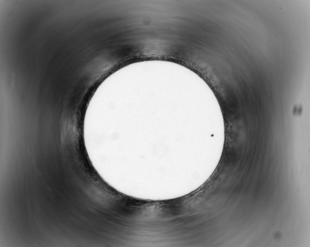 X0000103910116200810101316