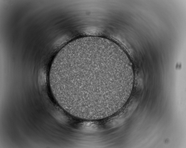 X0000103910117200810101316