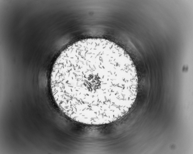 X0000103910120200810101316